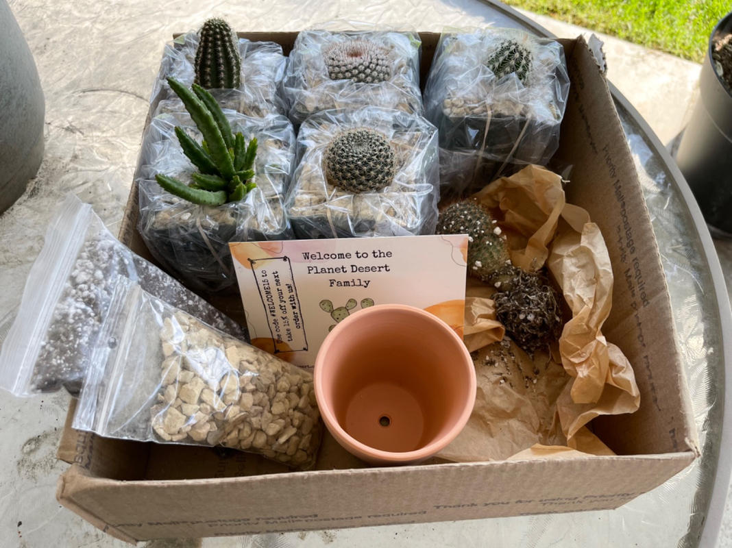 Potted Cactus Kit