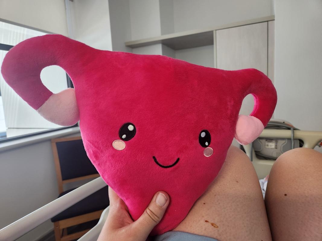 Uterus pillow for store baby