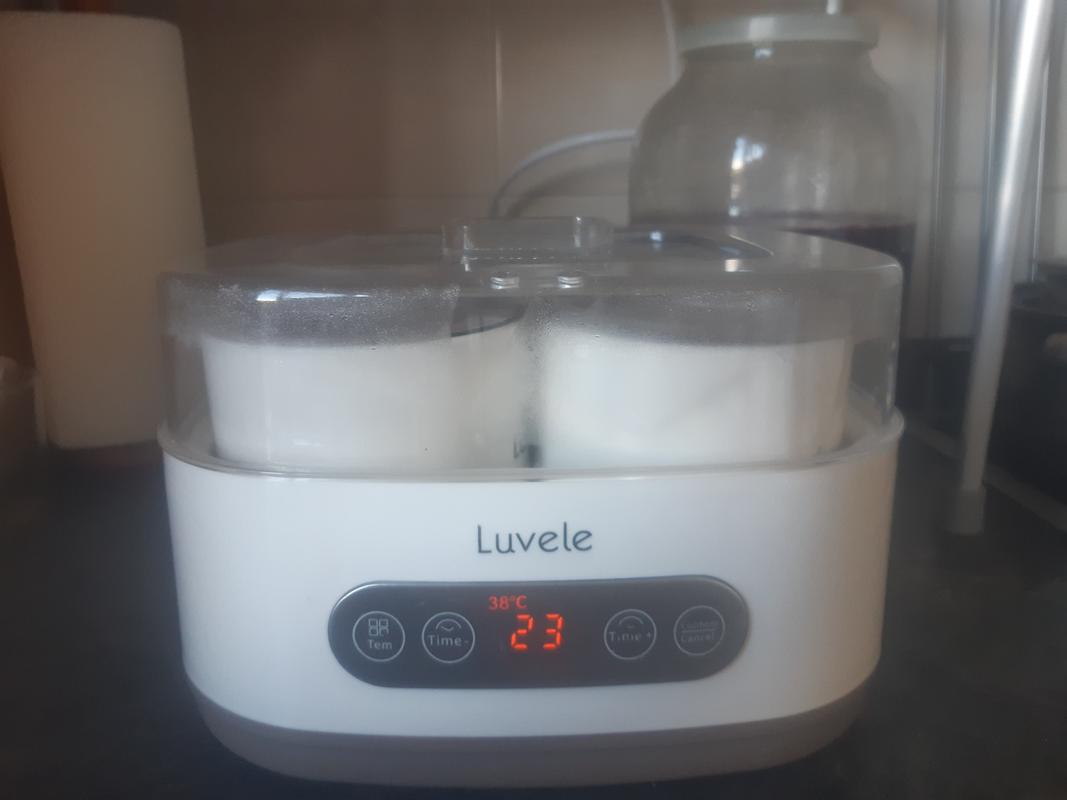 Luvele 4 x 400ml, (4 x 13.5oz.) ceramic yogurt jars