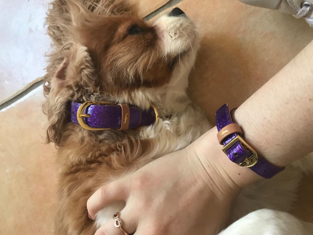 Dog and owner friendship collar 2024 and bracelet