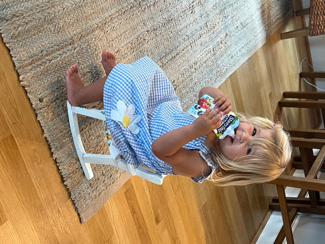 Daisy Days Applique Dress, Blue – Stitchy Fish