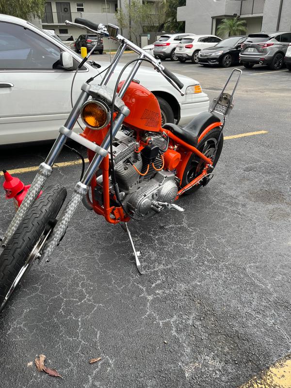 Lowbrow customs deals sissy bar