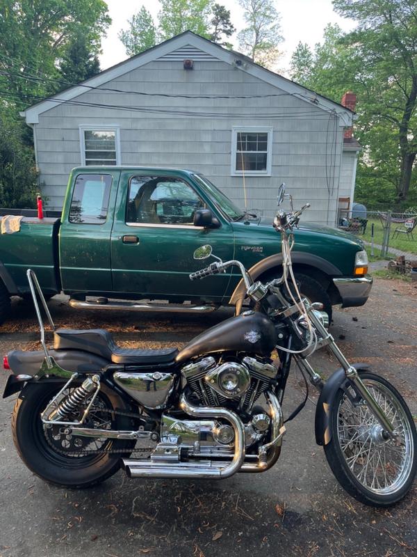 sportster back seat