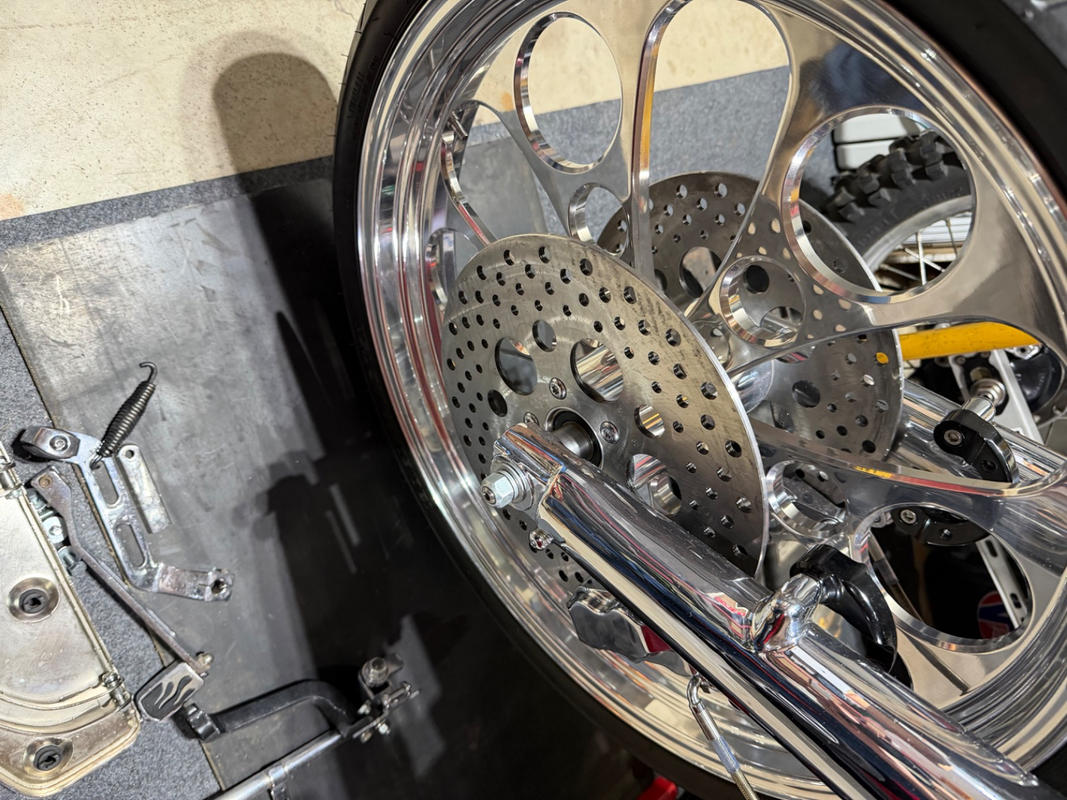 Cycle Standard Drilled Stainless Steel Brake Rotor - 11.5 inches