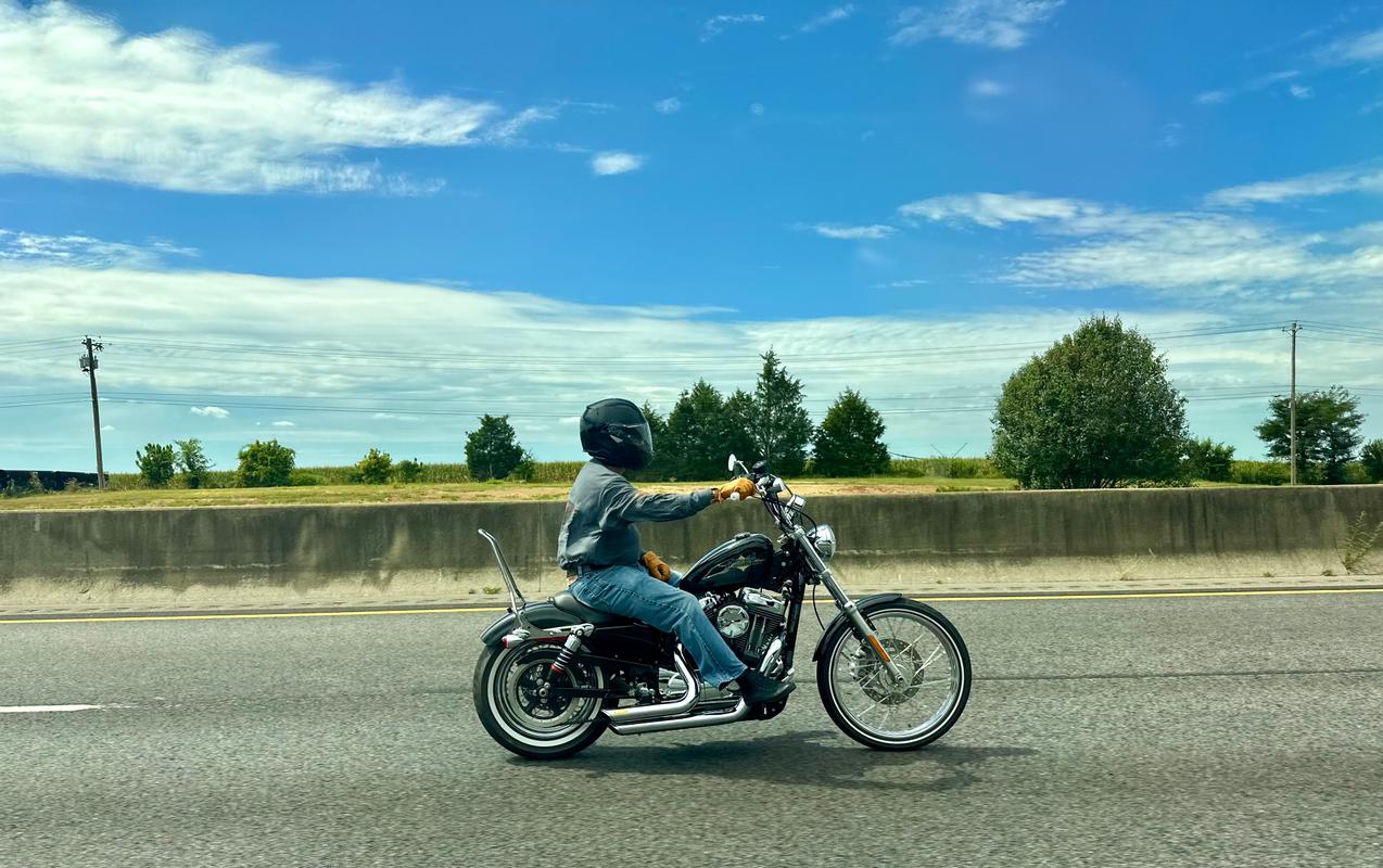 TC Bros. Sportster 2004-22 Kickback Sissy Bar Chrome