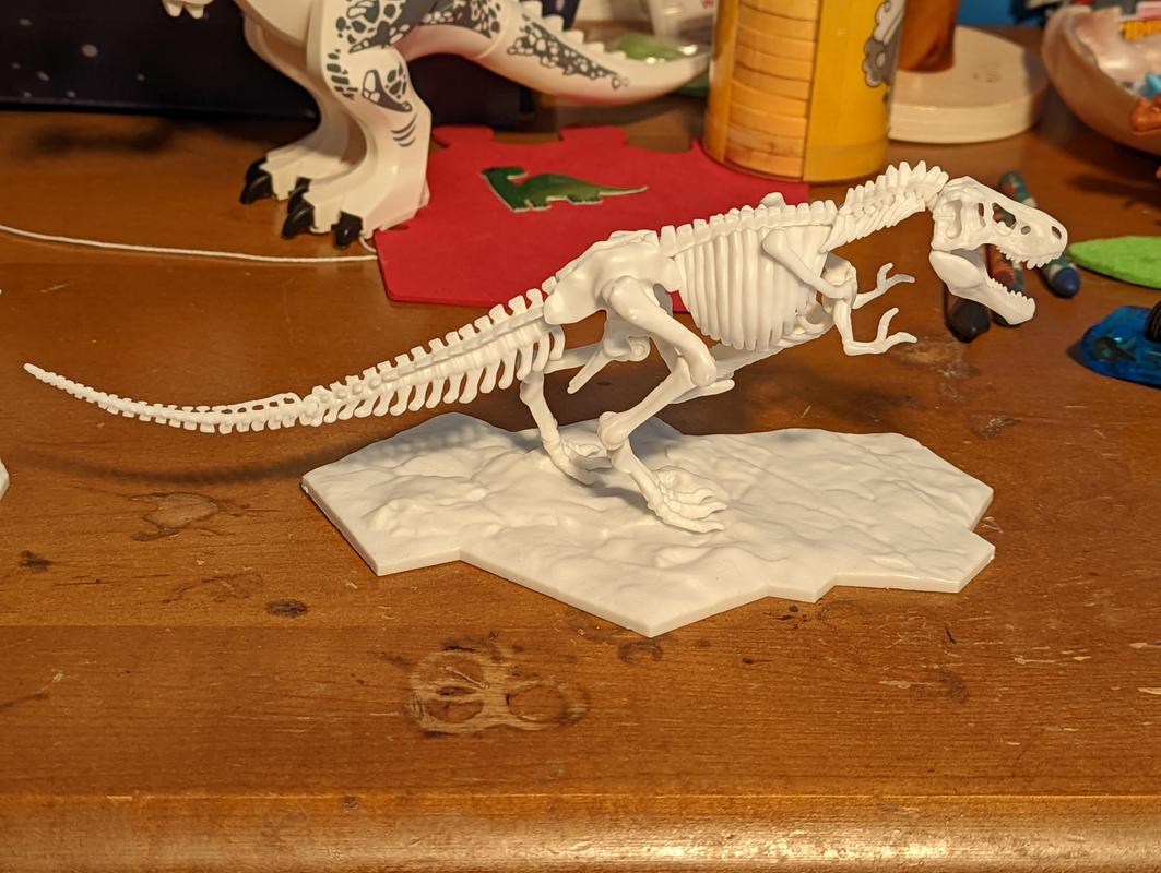 Limex Dinosaur Skeleton Tyrannosaurus Rex Model Kit – USA
