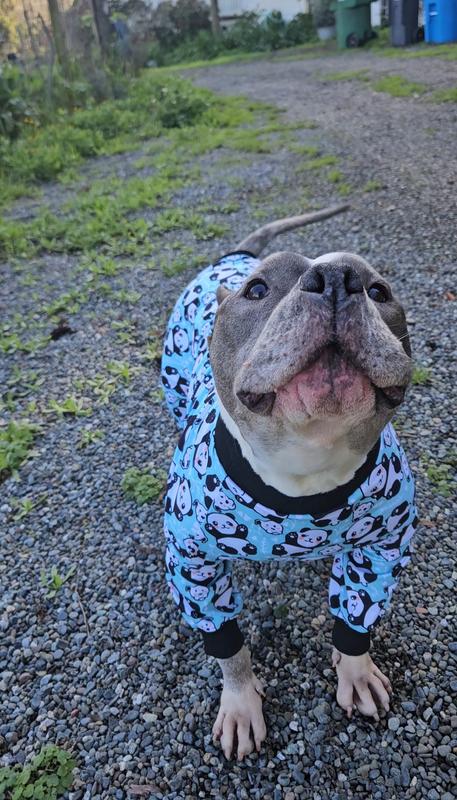 Camping Lightweight Dog Pajama – Tooth & Honey