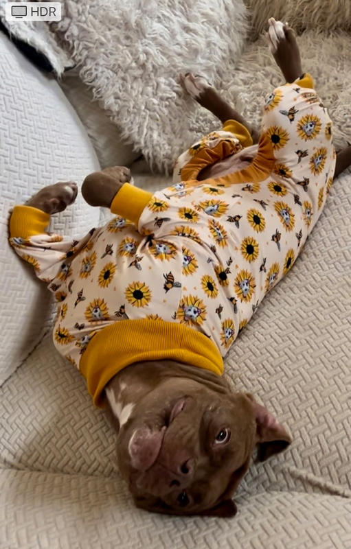 Dog duck pajamas and shops slippers