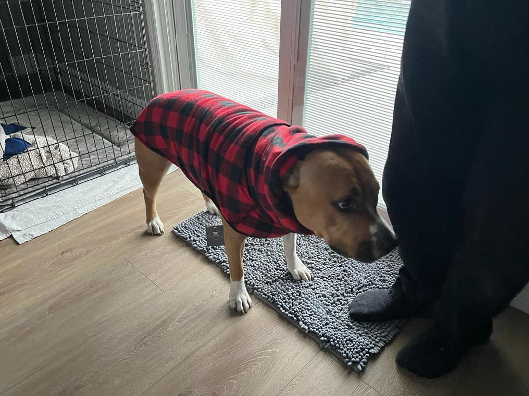 Buffalo plaid dog vest best sale