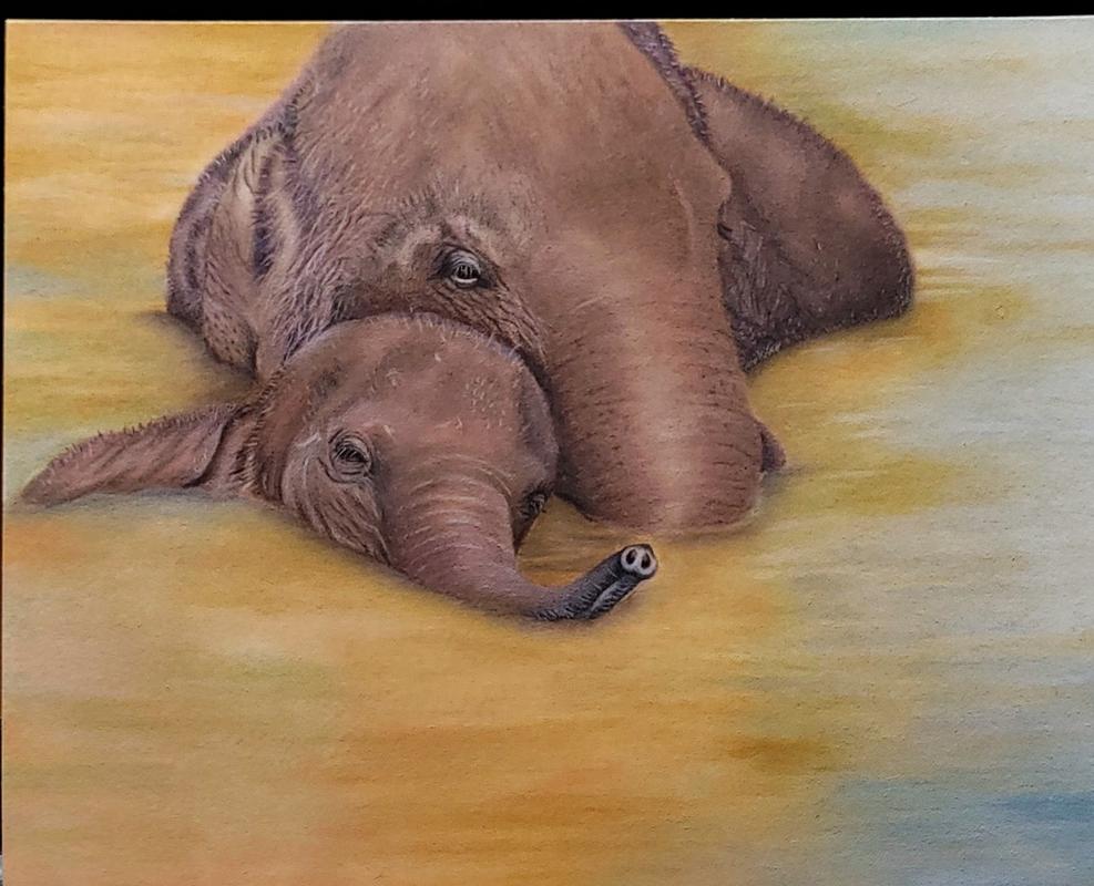 ELEPHANT colour pencil drawing print A4 / A3 signed by UK artist African  art | eBay