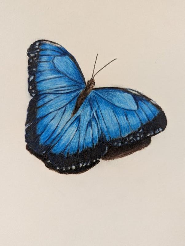 How to Draw Butterflies | Татуировка в виде бабочки, Стрекозы, Картины