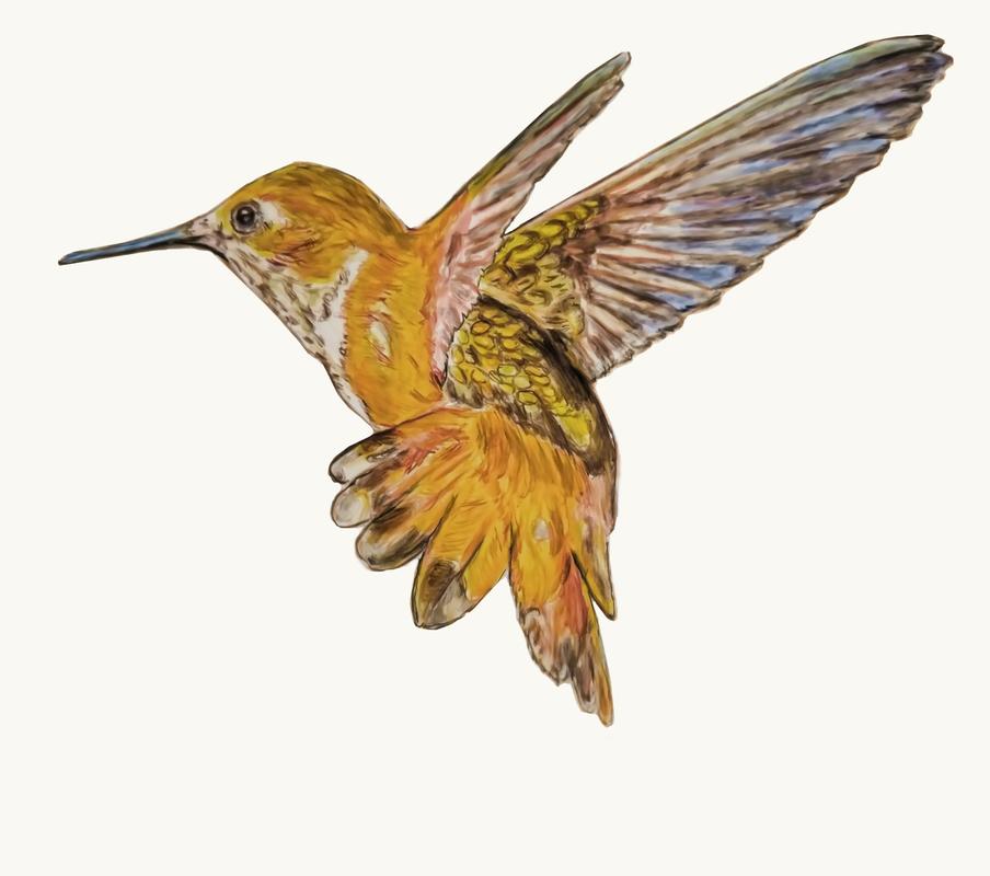 Jumpstart Level 3: Golden Hummingbird | annkullberg.com