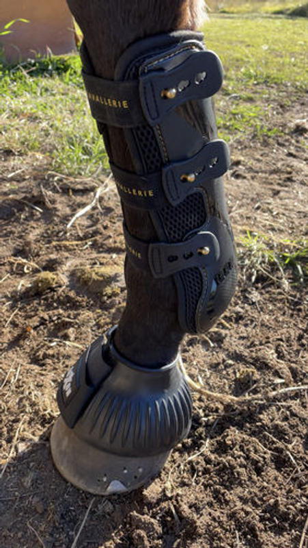 Kavallerie - Pro-K 3D Air-Mesh Tendon Boots