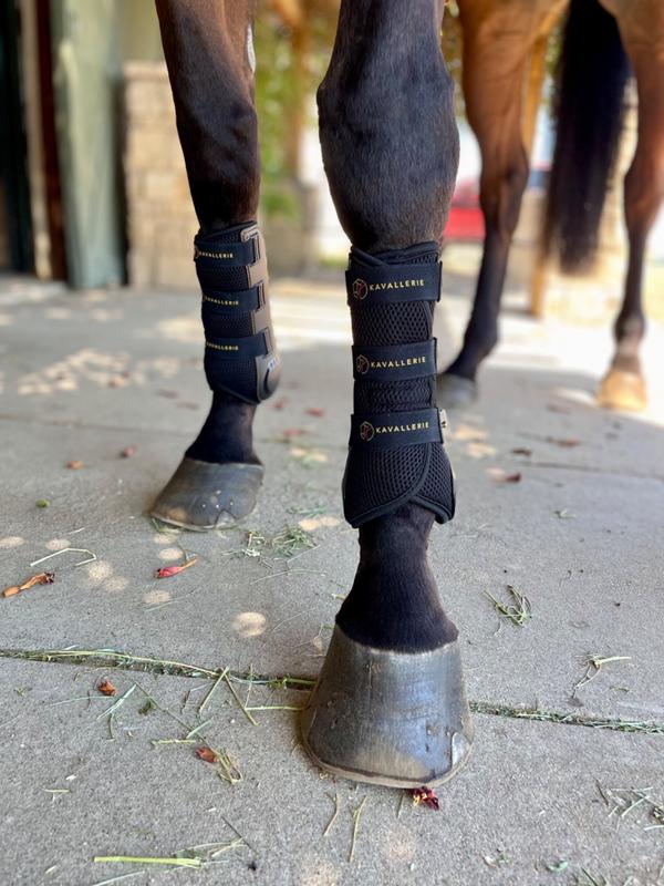 Horse sales dressage boots