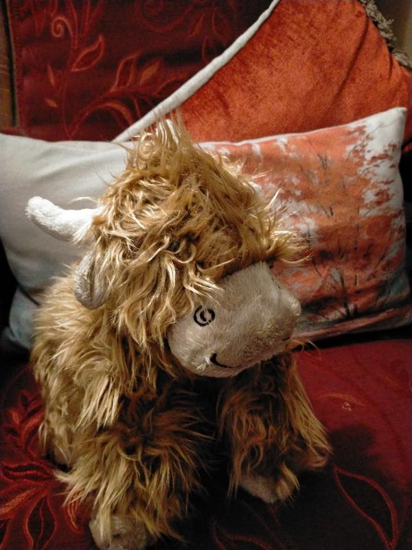 Jellycat Truffles Highland Cow Contempo - Main Image