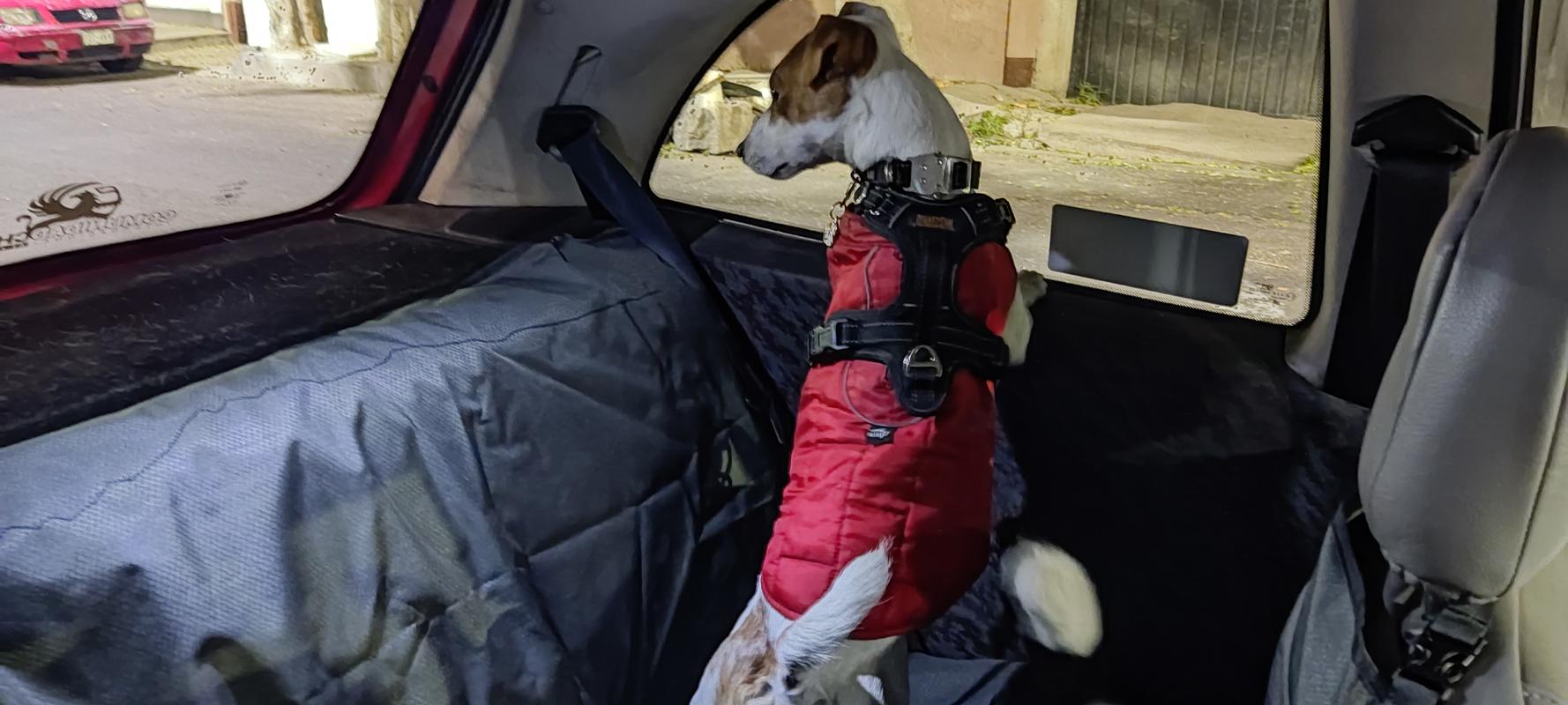 Dirtbag Seat Cover Autoschutzdecke von Ruff Wear