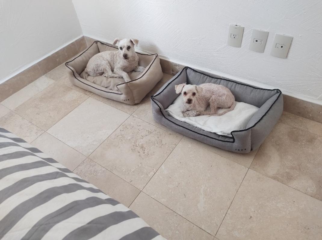 Material Reciclado Que Tela Se Usa Para Hacer Camas De Perros Cama