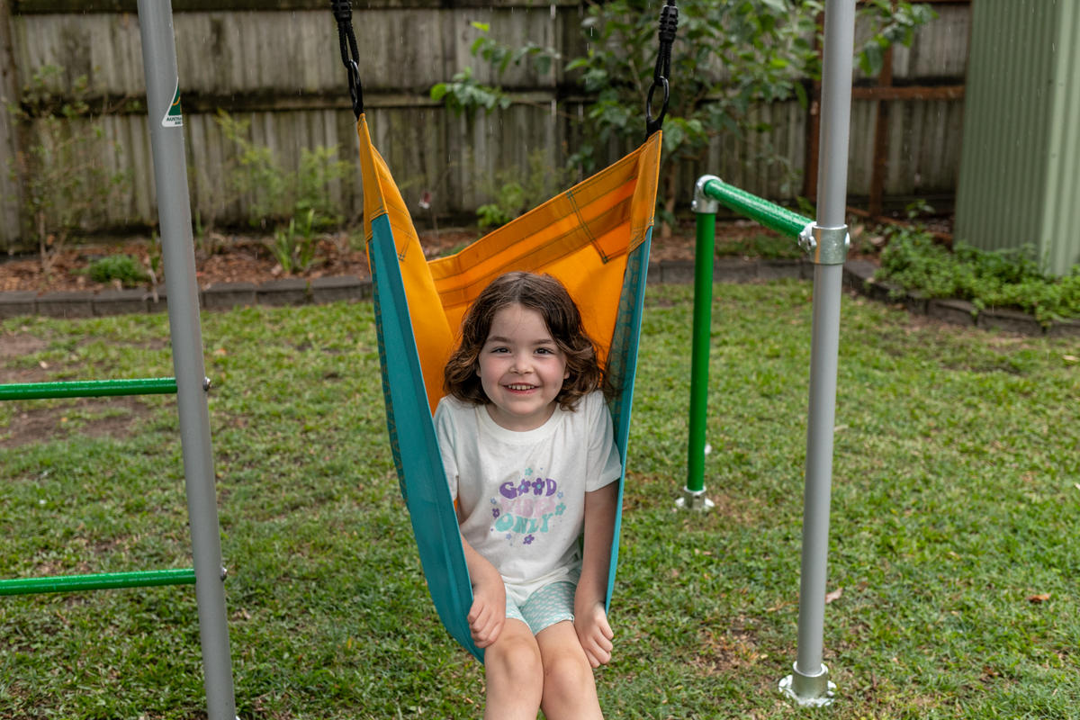 The Gorilla Frame Funky Monkey Bars