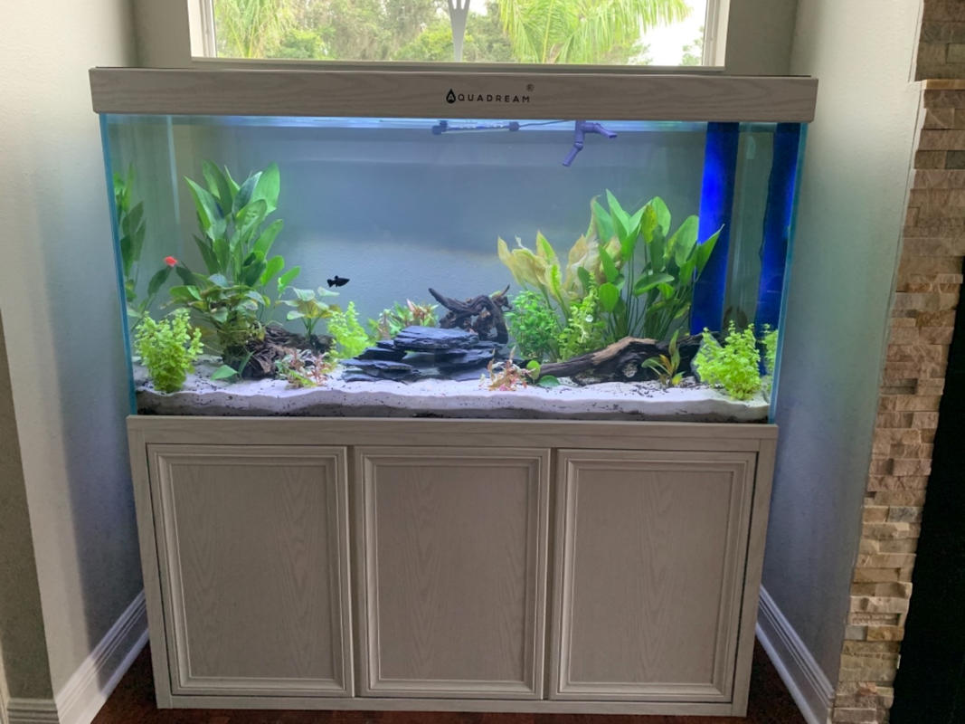 200 gallon fish tank hotsell for sale