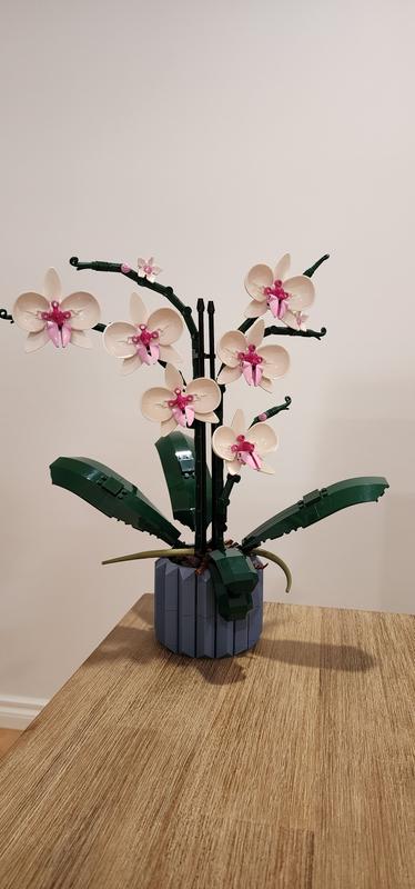 ▻ Review: LEGO Botanical Collection 10311 Orchid - HOTH BRICKS