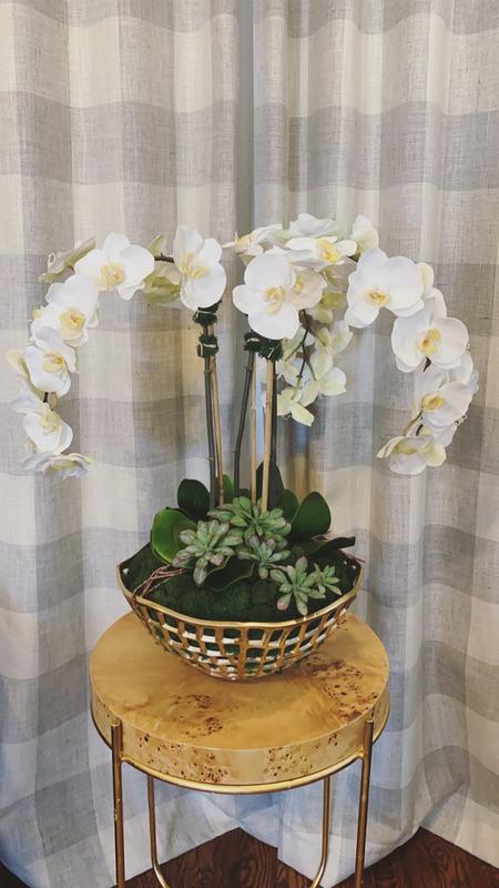 Phalaenopsis Prestige Collection in Wicker Basket