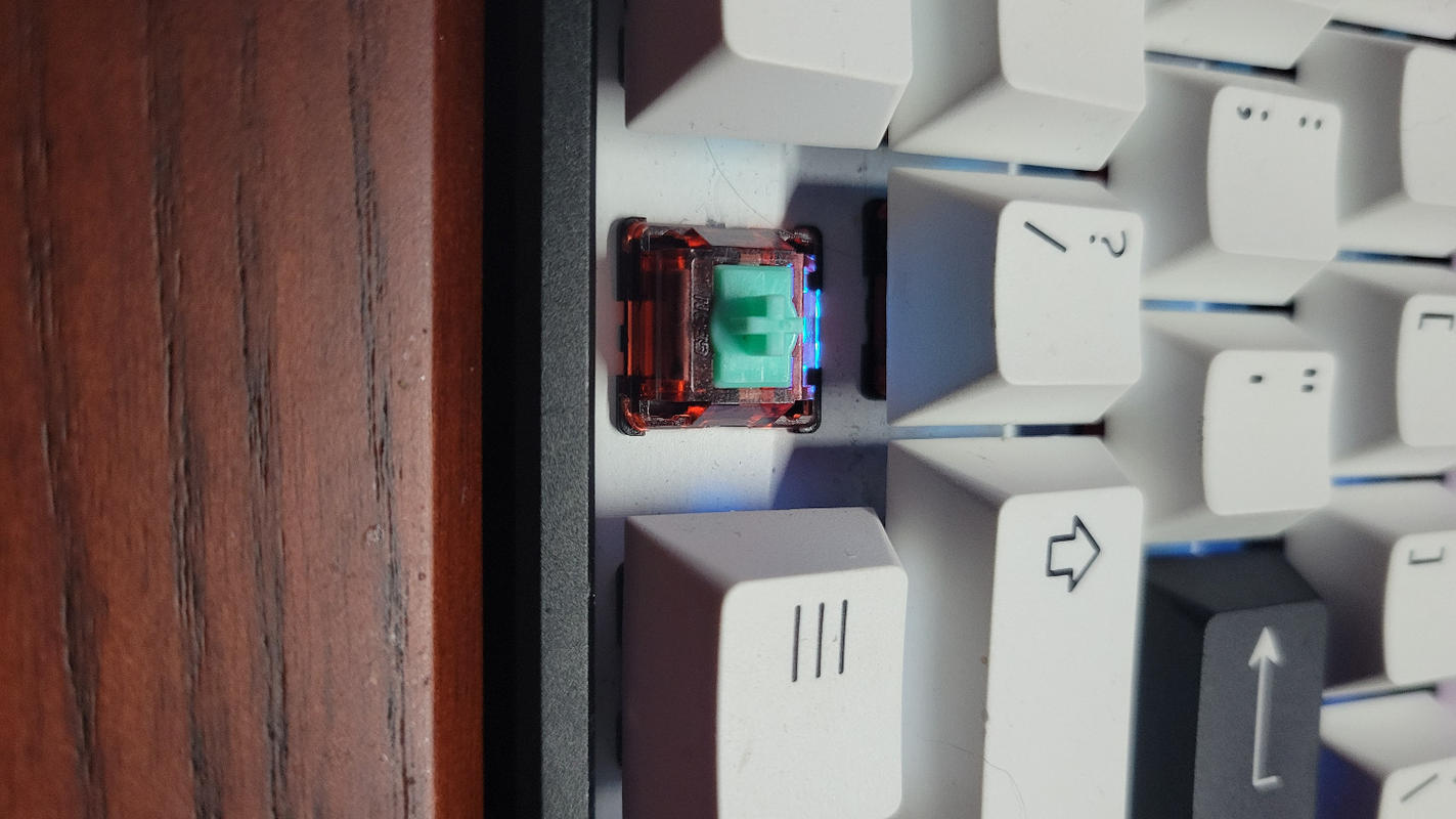 Geon Raptor HE V2 Switches – Divinikey