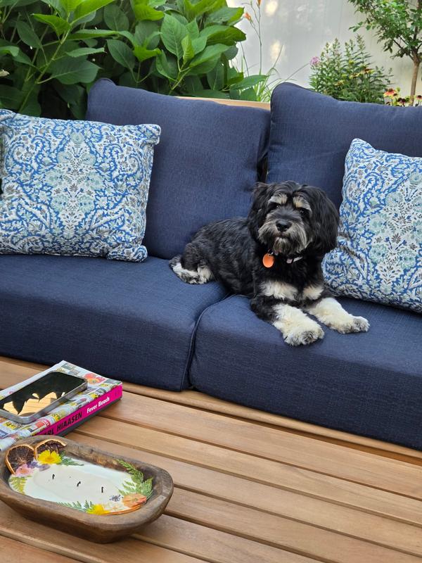 Caterina Teak Wood Outdoor Patio Loveseat Beige Cushion