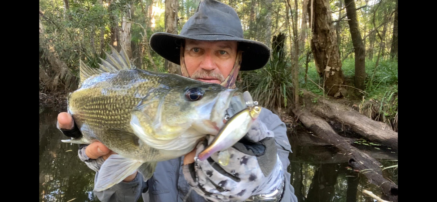 Megabass Anthrax