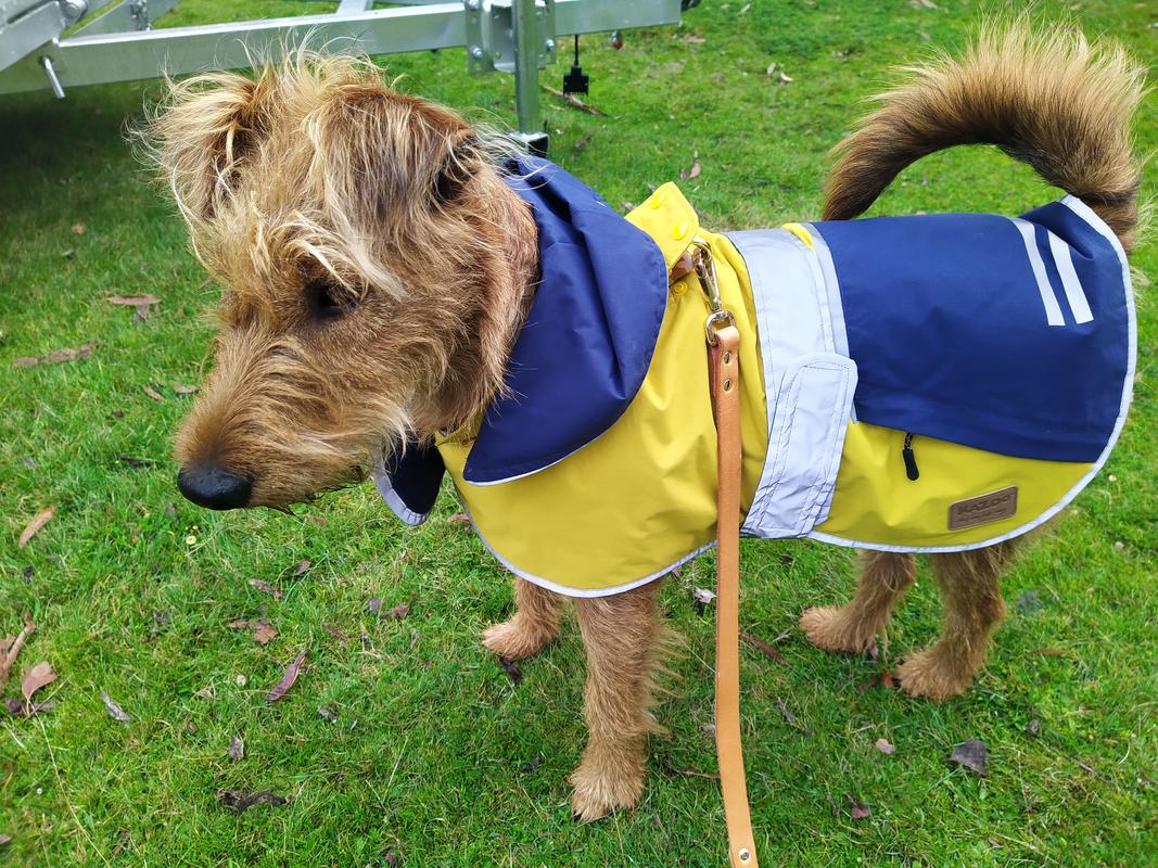 Lands end dog rain clearance jacket