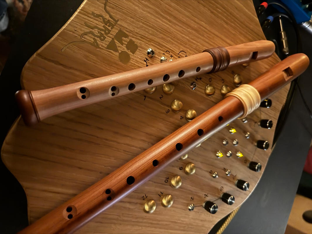 Flûte à Bec Soprano Mollenhauer 4119R Adri - Poirier, Touche Baroque, Rouge, Pour Débutants Et Musiciens
