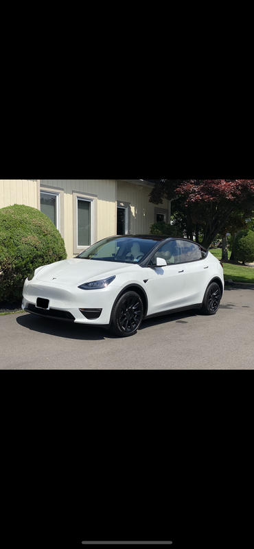 Front Bumper - Sport Mode for Model Y