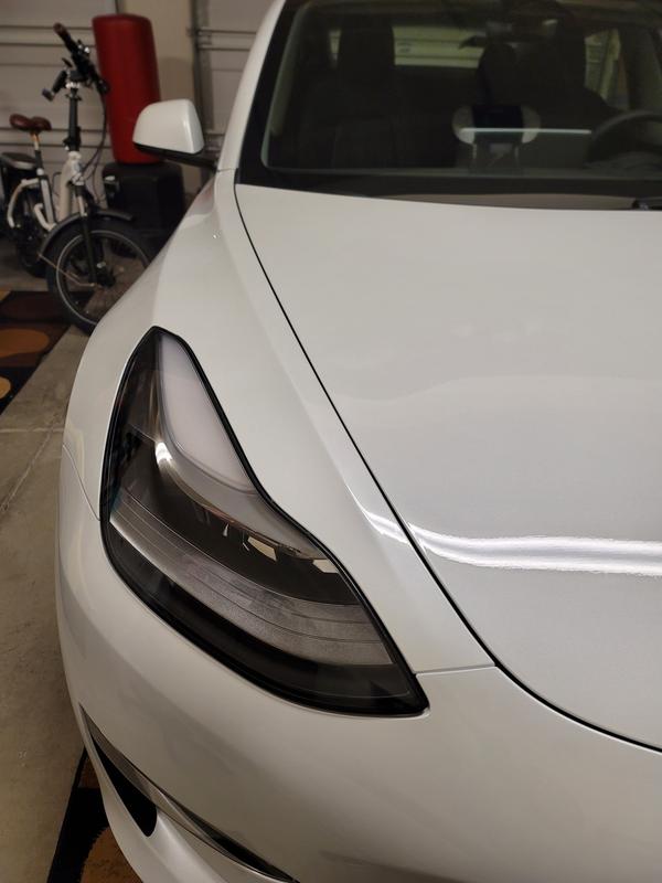 MotoShield Pro Tesla Model S | PPF | Front Bumper