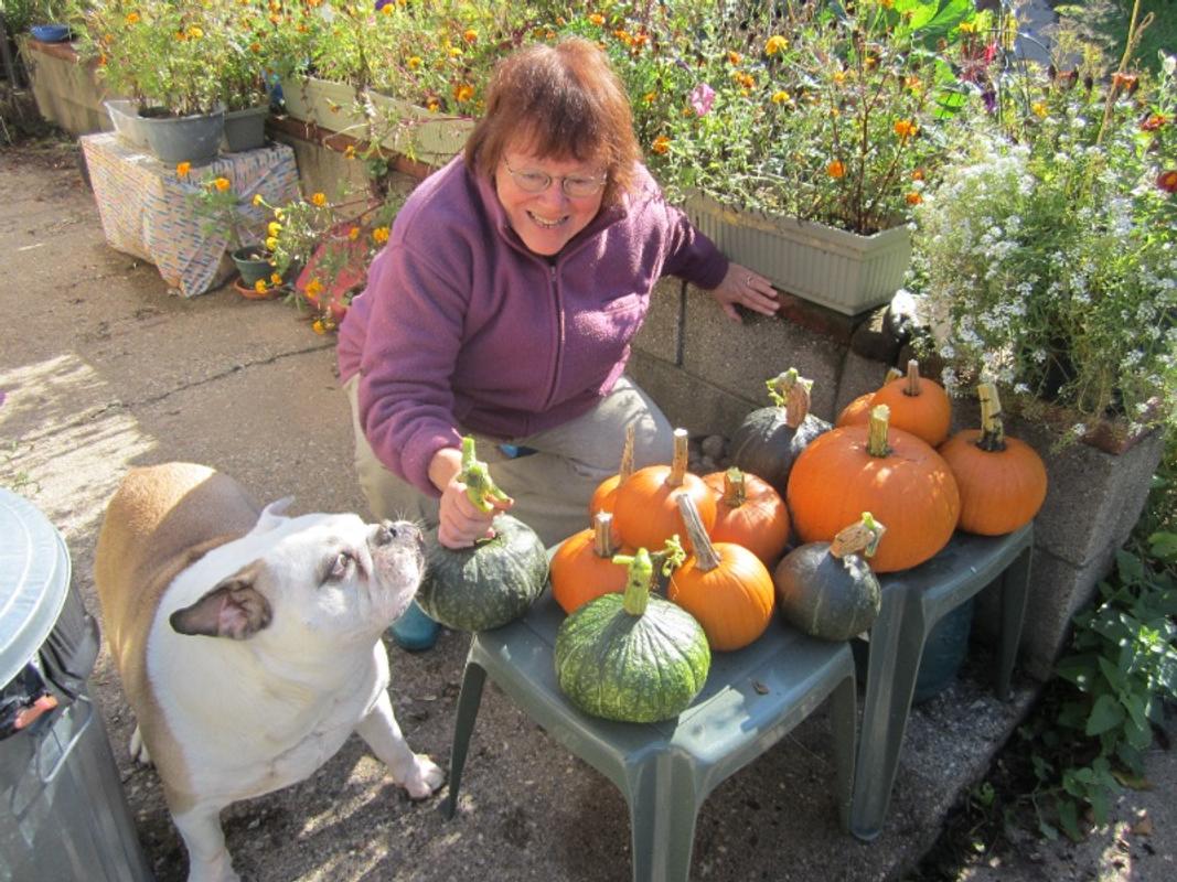 Semi Di Zucca Vif D'Etampes - Varietà Tradizionale Francese, Confezione 3g, Orto Facile