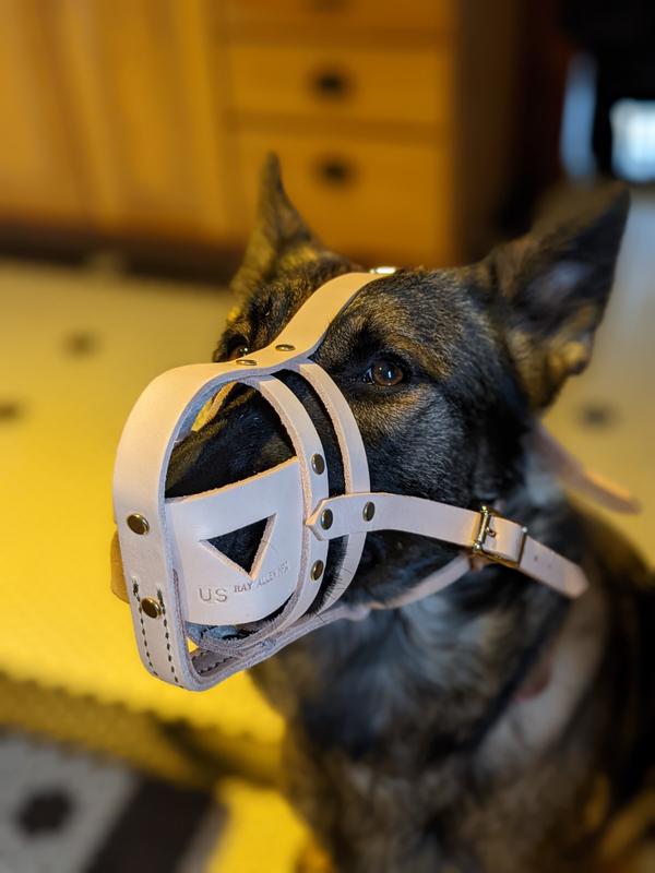 Dog on sale muzzle manufacturers