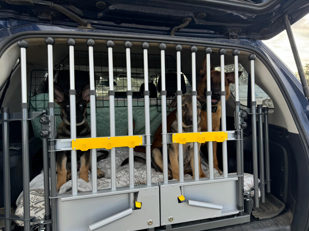 MIM Safe VarioGate System (Double) K9 Vehicle Safety Accessory