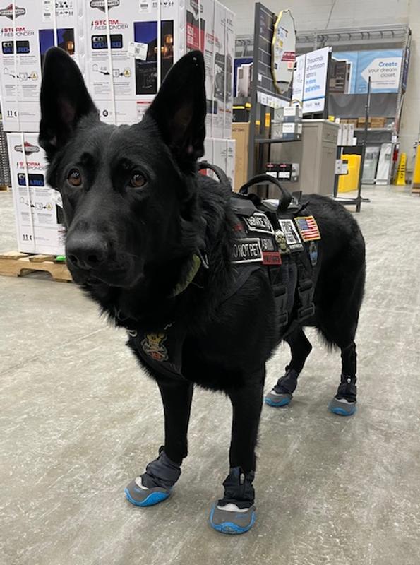 Ruffwear Polar Trex™ Winter Dog Boots | K9 Paw Protection | Cold