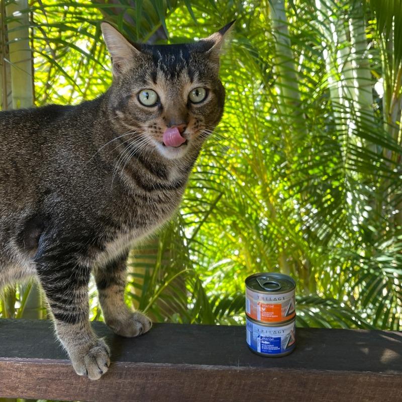 Trilogy Cat Food Reviews Trilogyau