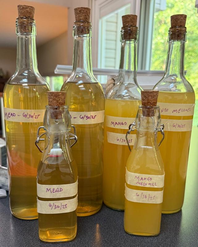 Backsweetening Mead Kit | Craft a Brew