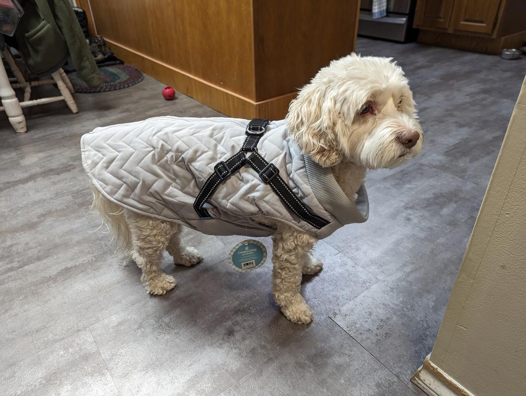 Quilted Dog Jacket With Built In Harness Grey Silver Paw