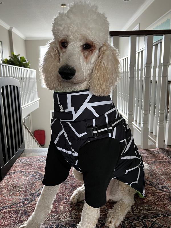 Clothes Winter Coats For Standard Poodles Down Coat For Dogs