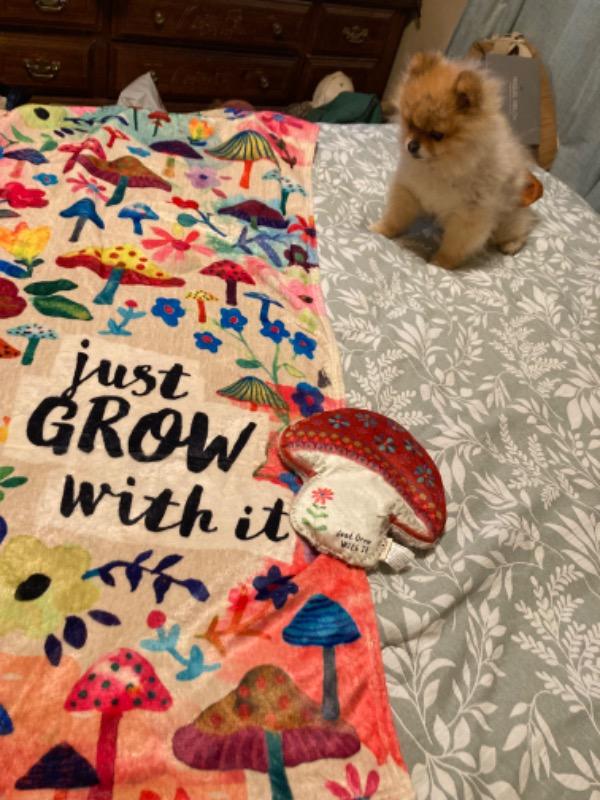 Cozy Throw Blanket God's Love Patchwork Natural Life