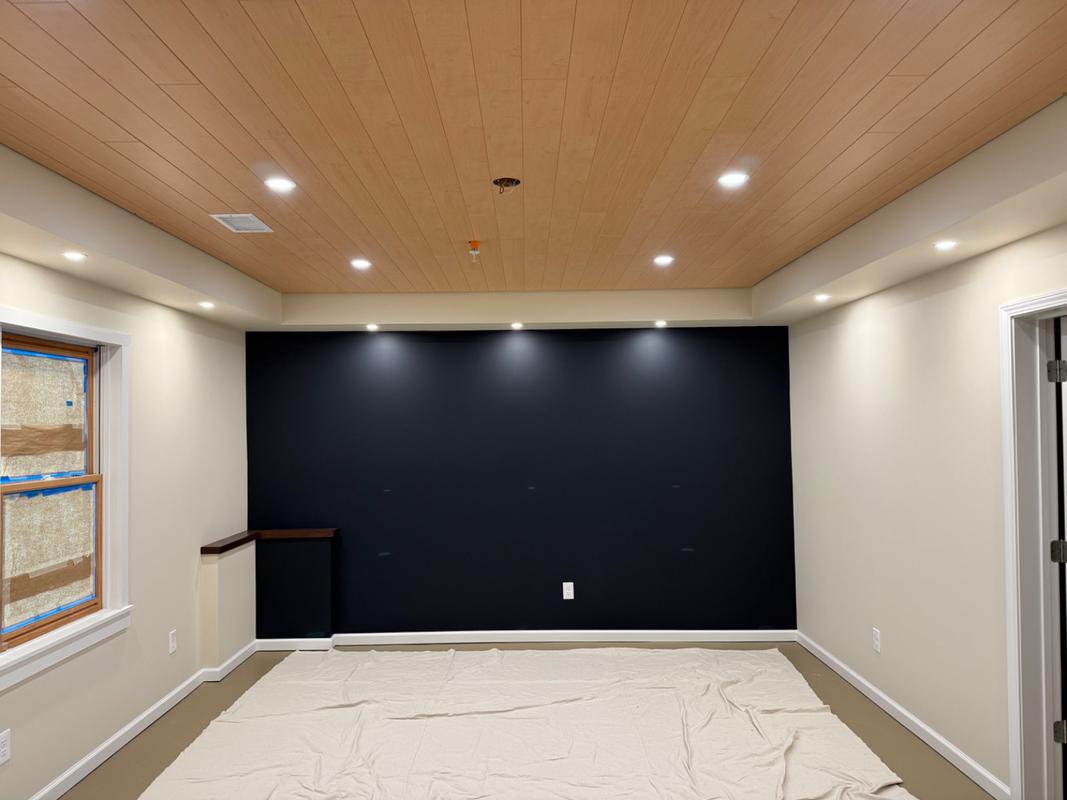 Black Wood Ceiling Planks