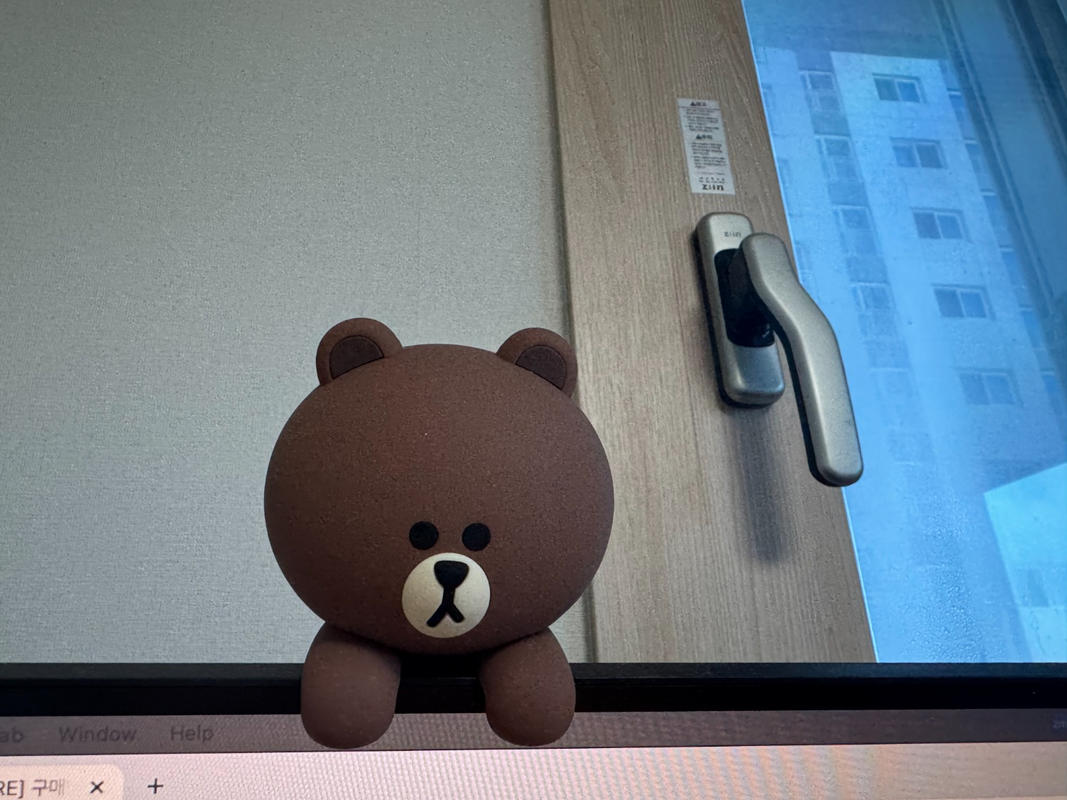 ラインフレンズ ブラウン ぬいぐるみ まとめ パーカー ミニオン 限定品