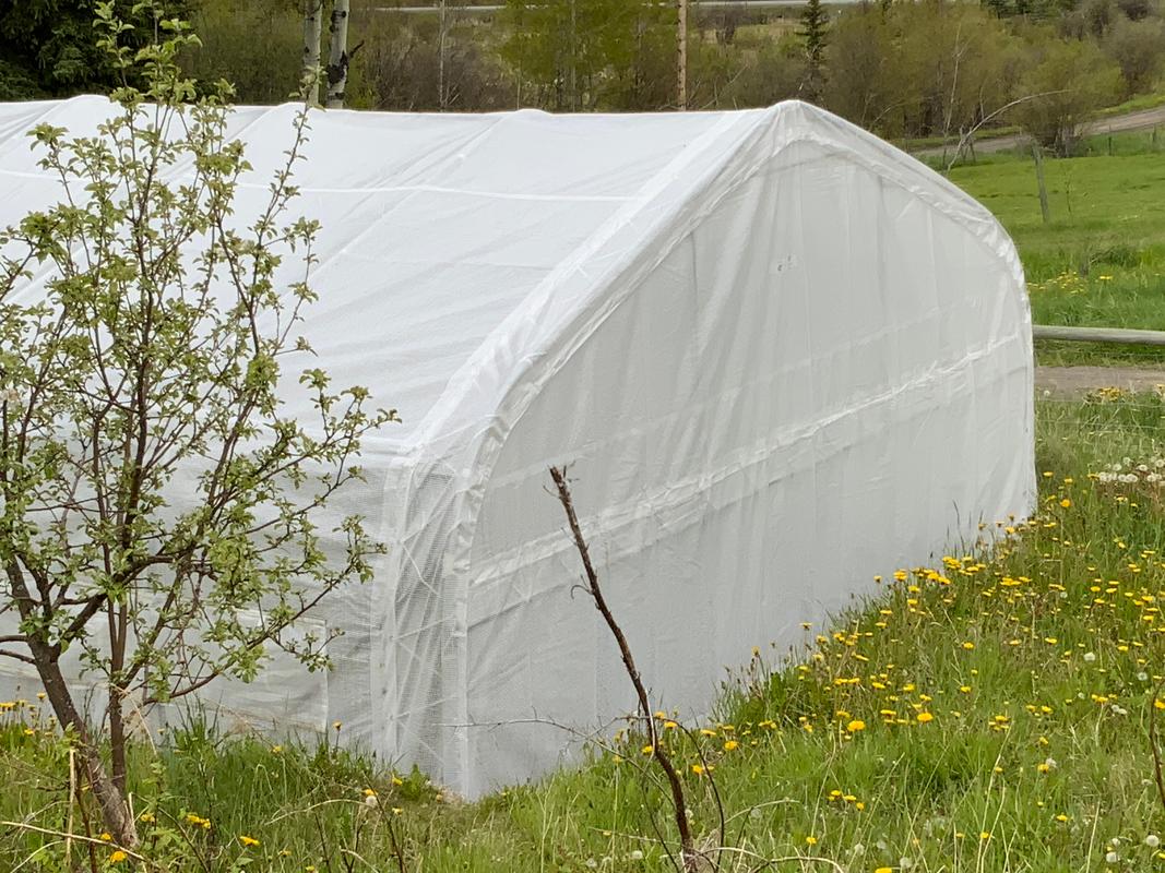 TMG Industrial 20' x 30' Tunnel Greenhouse Grow Tent w/12