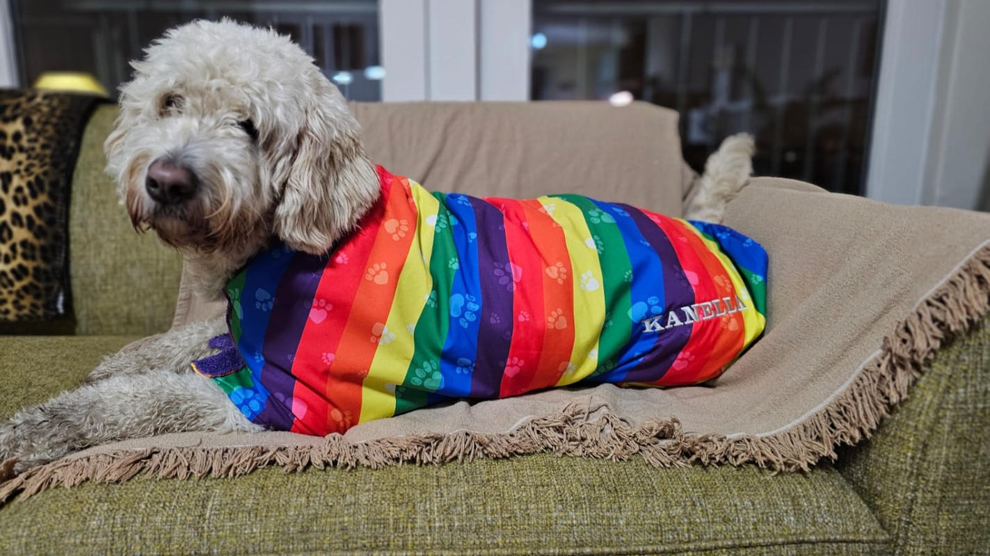 Rainbow Dogrobe Rainbow Dog Towel Robe Dogrobes