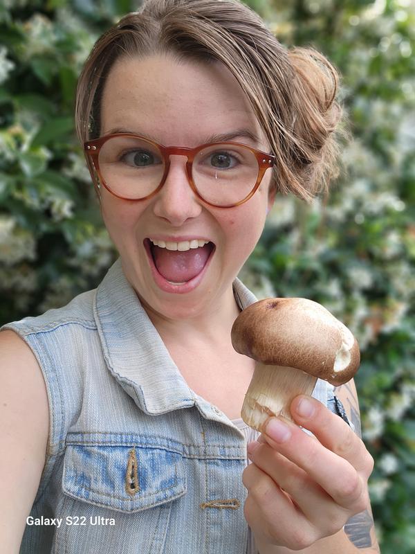 Organic Wine Cap (Garden Giant) Mushroom Sawdust Spawn North Spore