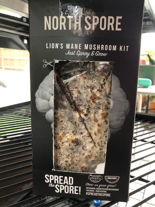 Organic Lion's Mane 'Spray & Grow' Mushroom Growing Kit North Spore