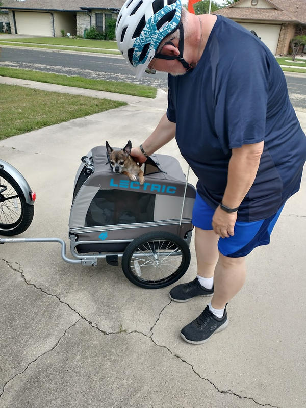 Dog Trailer for Electric Bikes - Lectric eBikes
