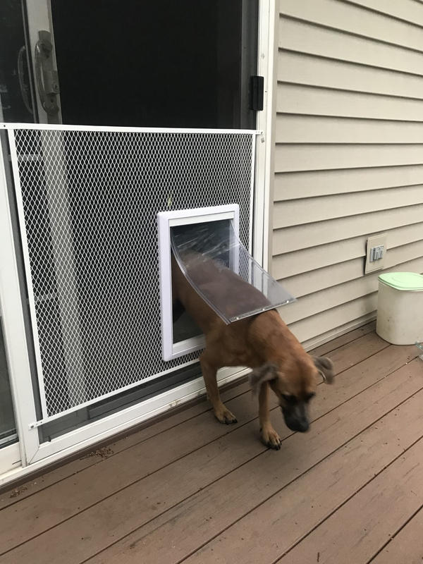 Screen door best sale guards for dogs