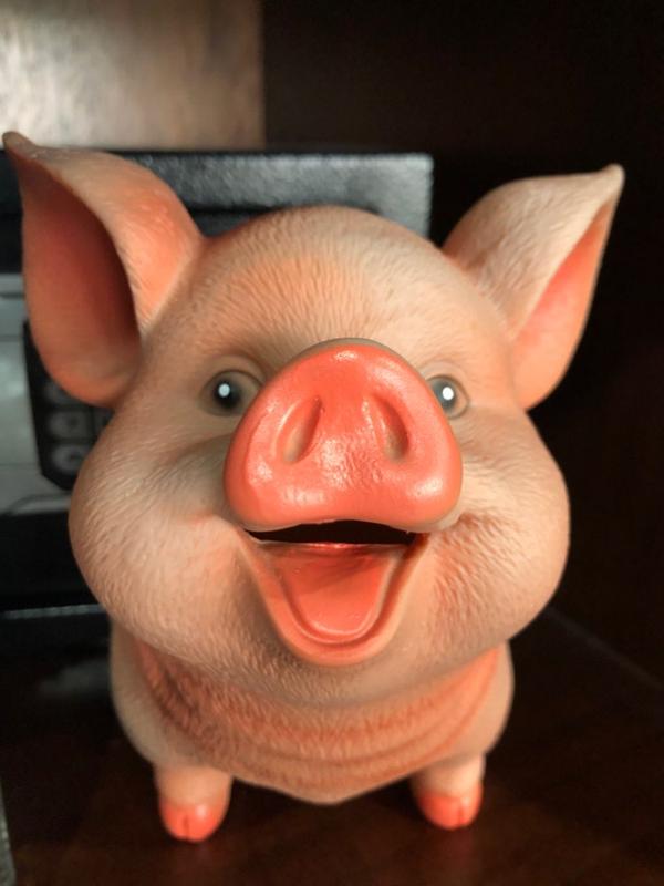 Realistic Jovial Piggy Bank - GEEKYGET